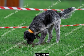 IMG_4870.jpg