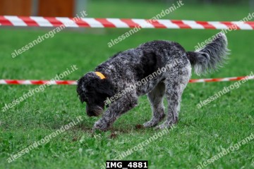 IMG_4881.jpg