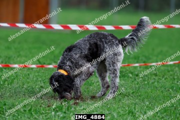 IMG_4884.jpg