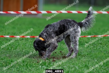 IMG_4891.jpg