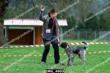 IMG_4903.jpg