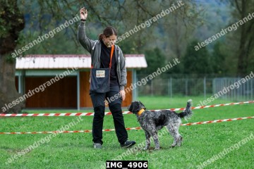IMG_4906.jpg