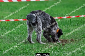 IMG_4922.jpg