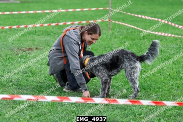 IMG_4937.jpg