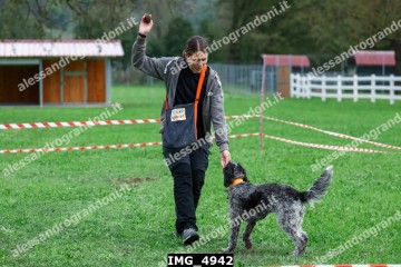 IMG_4942.jpg