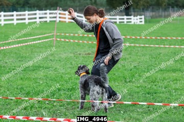IMG_4946.jpg