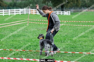 IMG_4947.jpg