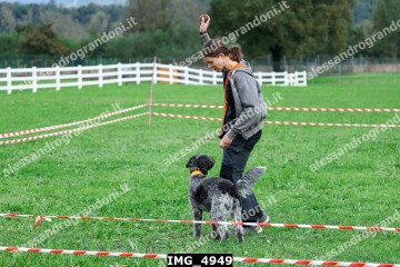 IMG_4949.jpg
