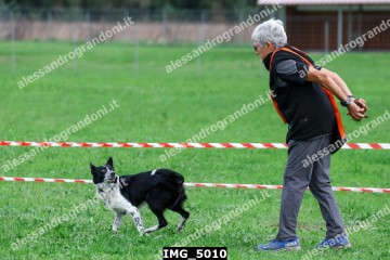 IMG_5010.jpg