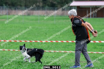 IMG_5012.jpg