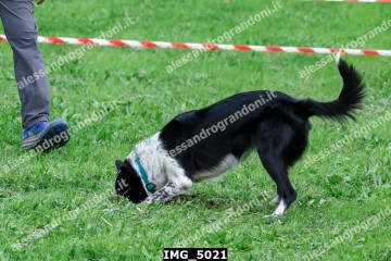 IMG_5021.jpg