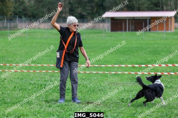 IMG_5046.jpg
