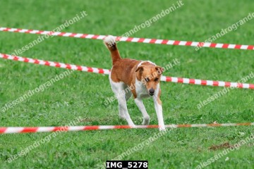 IMG_5278.jpg