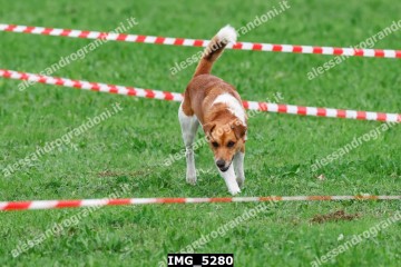 IMG_5280.jpg