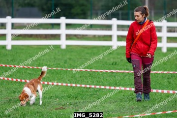IMG_5282.jpg
