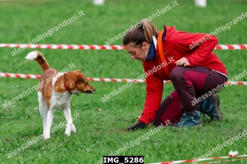 IMG_5286.jpg