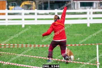 IMG_5348.jpg