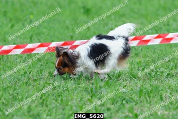 IMG_5620.jpg