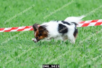 IMG_5623.jpg