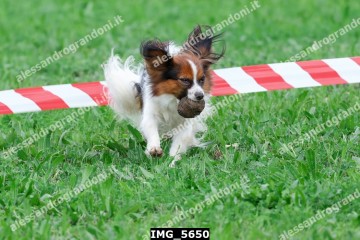 IMG_5650.jpg