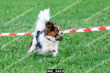 IMG_5653.jpg