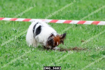 IMG_5682.jpg