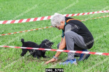 IMG_5795.jpg