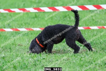 IMG_5832.jpg