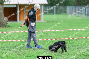 IMG_5878.jpg
