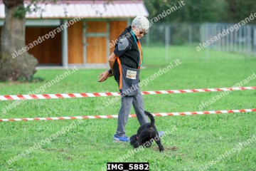 IMG_5882.jpg