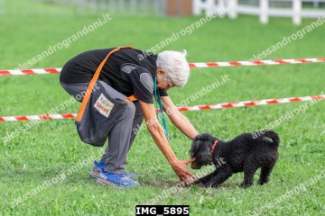 IMG_5895.jpg
