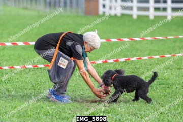 IMG_5898.jpg