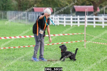 IMG_5910.jpg