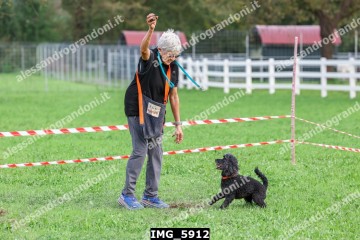 IMG_5912.jpg