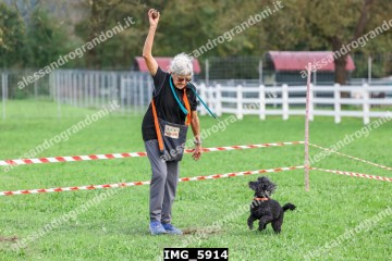 IMG_5914.jpg
