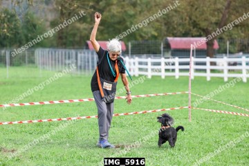 IMG_5916.jpg