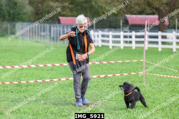 IMG_5921.jpg
