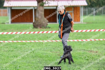 IMG_5927.jpg