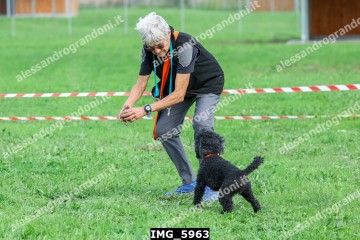 IMG_5963.jpg