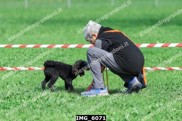IMG_6071.jpg
