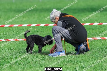 IMG_6074.jpg