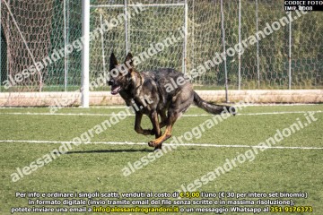 IMG_0008.jpg