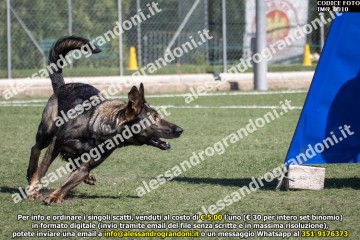 IMG_0010.jpg