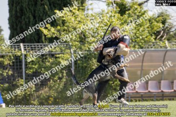 IMG_0067.jpg