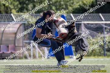 IMG_0082.jpg