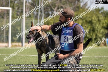 IMG_0091.jpg