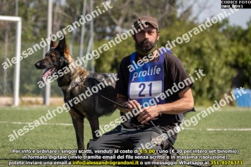 IMG_0093.jpg