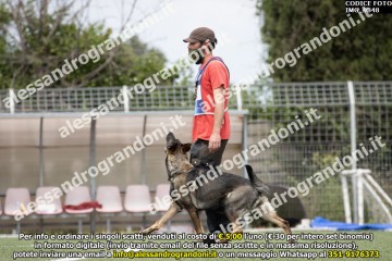 IMG_9848.jpg