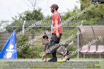 IMG_9849.jpg