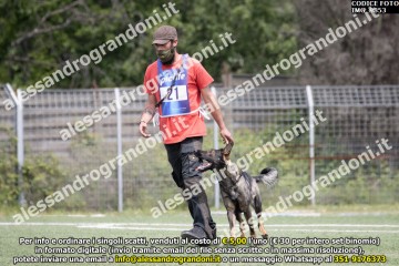 IMG_9853.jpg